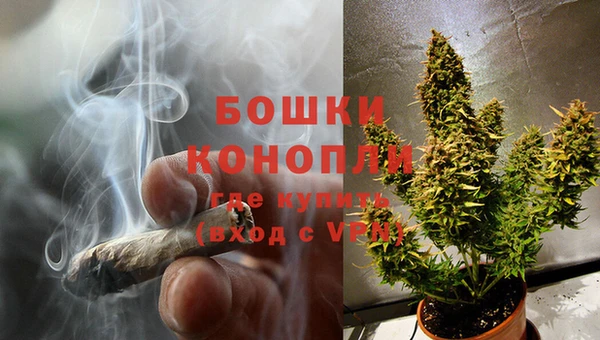 дживик Верея