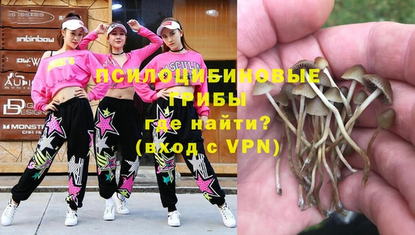 a pvp Верхний Тагил